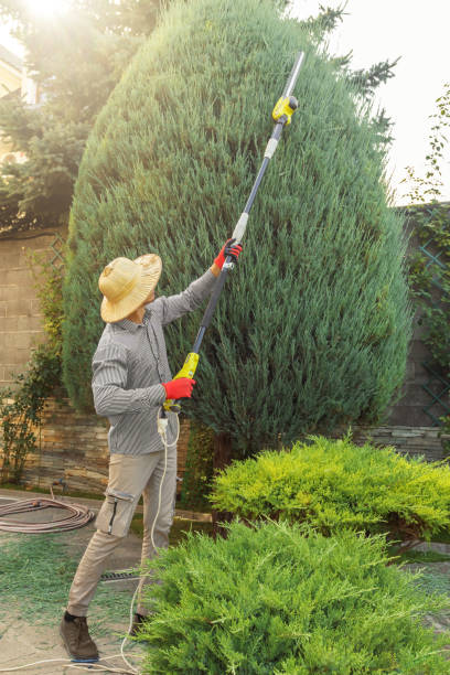 Lawn Watering Services in Spring Ridge, MD